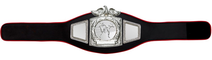 PROEAGLE THAI BOXING CHAMPIONSHIP BELT - PROEAGLE/S/TBOS - AVAILABLE IN 6+ COLOURS PROEAGLE THAI BOXING CHAMPIONSHIP BELT - PROEAGLE/S/TBOS - AVAILABLE IN 6+ COLOURS